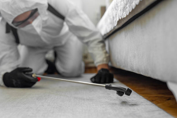 Professional Cockroach Control technician working in Mars Hill, NC