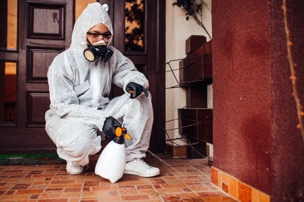 Reliable Cockroach Control contractor in Mars Hill, NC by Nex Pest Control